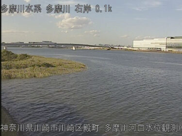 多摩川 多摩川河口水位観測所のライブカメラ|神奈川県川崎市
