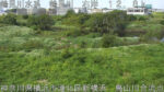 鶴見川 鳥山川合流点のライブカメラ|神奈川県横浜市のサムネイル