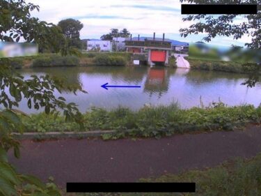 鵜川 横山川合流点のライブカメラ|新潟県柏崎市のサムネイル