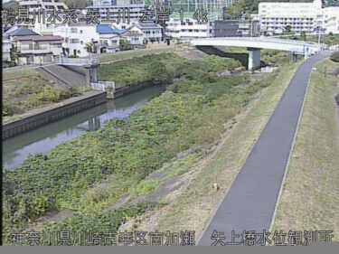 矢上川 矢上橋水位観測所のライブカメラ|神奈川県川崎市