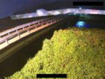矢代川 飛田新田橋のライブカメラ|新潟県妙高市のサムネイル