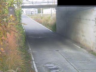 滋賀県道229号 上中野アンダーのライブカメラ|滋賀県東近江市のサムネイル