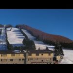 高天ヶ原マンモススキー場ゲレンデのライブカメラ|長野県山ノ内町のサムネイル