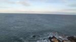 納沙布岬灯台から珸瑤瑁水道のライブカメラ|北海道根室市のサムネイル