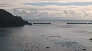 岩手県大船渡市 大船渡港指向灯から太平洋のライブカメラ