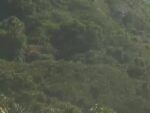 都井岬灯台から太平洋のライブカメラ|宮崎県串間市のサムネイル