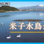 米子水鳥公園のライブカメラ|鳥取県米子市のサムネイル