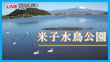 米子水鳥公園のライブカメラ|鳥取県米子市