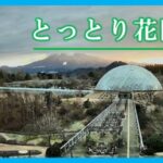 とっとり花回廊 ・フラワードームのライブカメラ|鳥取県南部町のサムネイル