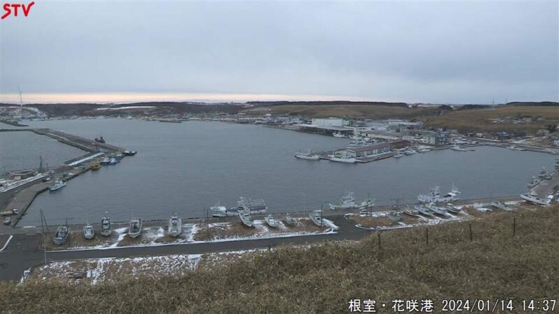 STVより根室のライブカメラ-北海道根室市 | ライブカメラHUB