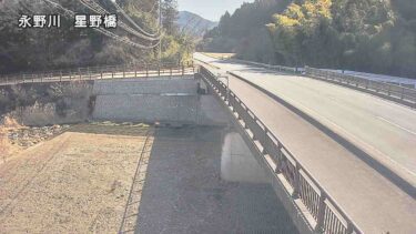 永野川 星野橋のライブカメラ|栃木県栃木市