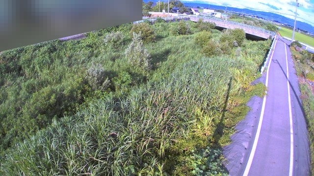 佐賀瀬川 家東橋のライブカメラ|福島県会津美里町のサムネイル