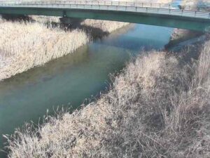 福島県天栄村 釈迦堂川 前川原橋のライブカメラ