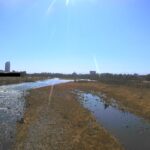 利根川 大渡橋のライブカメラ|群馬県前橋市のサムネイル