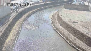 栃木県栃木市 巴波川 栃木市役所裏のライブカメラ