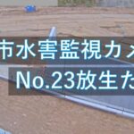 放生ため池のライブカメラ|大分県大分市のサムネイル