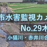 小猫川 木佐上地区のライブカメラ|大分県大分市のサムネイル