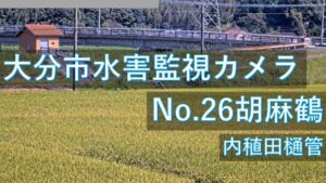 大分県大分市 胡麻鶴地区のライブカメラ