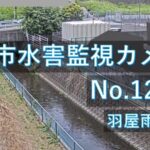 花園地区のライブカメラ|大分県大分市のサムネイル