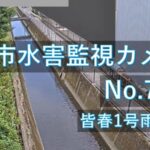 皆春地区のライブカメラ|大分県大分市のサムネイル