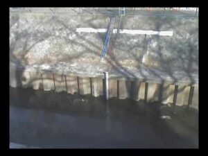東京都杉並区 善福寺川 相生橋のライブカメラ