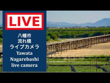 淀川 八幡市・流れ橋のライブカメラ|京都府八幡市のサムネイル