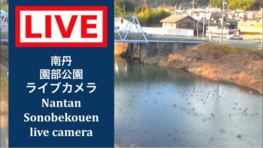園部公園のライブカメラ|京都府南丹市のサムネイル