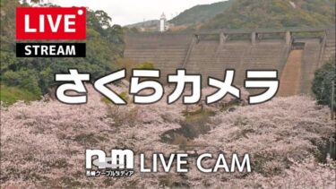 西山ダム下流公園の桜のライブカメラ|長崎県長崎市