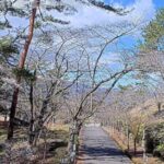 やながわ希望の森公園のライブカメラ|福島県伊達市のサムネイル