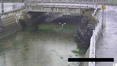 相割川 恒見橋のライブカメラ|福岡県北九州市
