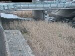 千草川 上物部局のライブカメラ|兵庫県洲本市のサムネイル