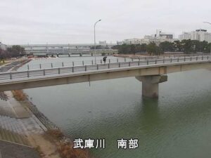 兵庫県尼崎市 武庫川 武庫川南部局のライブカメラ