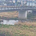 紫川 亀年橋のライブカメラ|福岡県北九州市のサムネイル