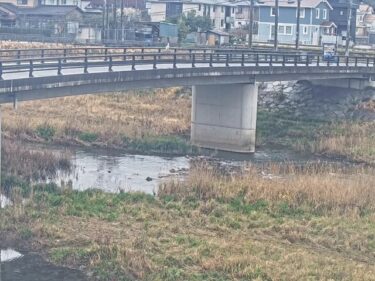 紫川 亀年橋のライブカメラ|福岡県北九州市