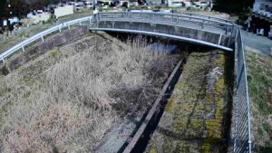 兵庫県丹波市 大谷川 堂成口橋局のライブカメラ