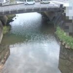 六角川 弓野橋のライブカメラ|佐賀県武雄市のサムネイル