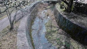 兵庫県丹波篠山市 篠山川 ユリ橋（みくまりダム治水基準）局のライブカメラ