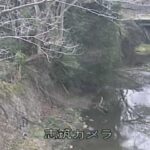 志筑川 志筑川志筑局のライブカメラ|兵庫県淡路市のサムネイル