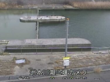 洲本川 洲本川潮止堰局のライブカメラ|兵庫県洲本市のサムネイル