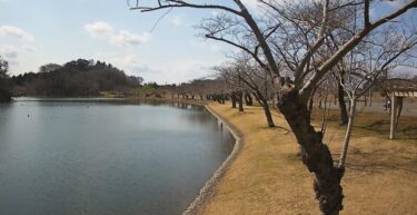 竹嶋潟 観桜のライブカメラ|秋田県にかほ市のサムネイル