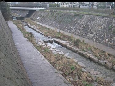 都賀川 カメラ5局のライブカメラ|兵庫県神戸市のサムネイル
