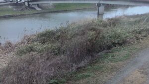 兵庫県小野市 東条川 船木局のライブカメラ