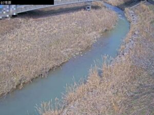 兵庫県丹波篠山市 東条川 市原局のライブカメラ