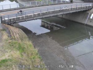 佐賀県小城市 牛津江川 牛津江のライブカメラ