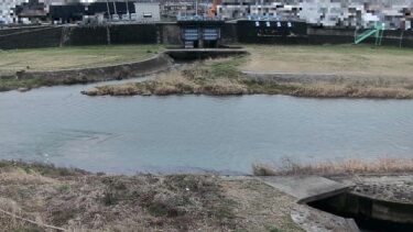 和田谷川 救急内水排水機場局のライブカメラ|兵庫県西脇市