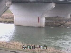 兵庫県香美町 矢田川 矢田川油良局のライブカメラ