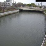 蓬川 蓬川入江橋局のライブカメラ|兵庫県尼崎市のサムネイル