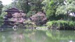 京都御苑（九條家の遺構・拾翠亭）のライブカメラ|京都府京都市のサムネイル