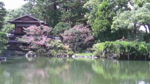 京都府京都市 京都御苑（九條家の遺構・拾翠亭）のライブカメラ