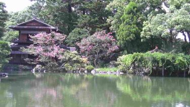 京都御苑（九條家の遺構・拾翠亭）のライブカメラ|京都府京都市のサムネイル